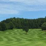 Rasenkunst auf dem Golfplatz Sigmaringen