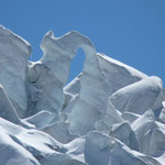 Oberer Grindelwaldgletscher