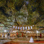 Eingang zum heiligen Bodhi Tree