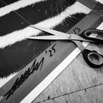 ARTwork: Andreas Ender | SELECTed . 21 - Titel:ZEBRA - Fragmente 2025, diverse Formate - Preis: 987,00€ (SET mit 6 Unikaten)