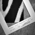 ARTwork: Andreas Ender | SELECTed . 21 - Titel:ZEBRA - Fragmente 2025, diverse Formate - Preis: 987,00€ (SET mit 6 Unikaten)
