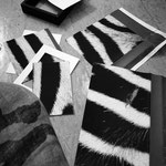 ARTwork: Andreas Ender | SELECTed . 21 - Titel:ZEBRA - Fragmente 2025, diverse Formate - Preis: 987,00€ (SET mit 6 Unikaten)