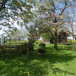 Frühling