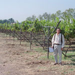 Y-System Trellis at Pune Research Centre, India