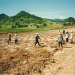 Establishment of Vineyard at Pak Chong, Khao Yai, Thailand