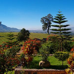 View of Myanmar Vineyards in the Background, Inle Lake, Myanmar