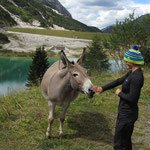 My new friend at Passo Fedaia!