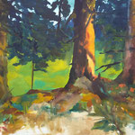 2020_Wachthaussattel_32x24cm_Aquarell_Papier