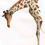 Giraffe, Aquarell