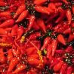 peperoncino