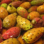 fichi d'india