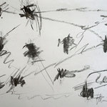 Schmeißfliegenflug  21x29cm-2016 