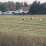 Fotos: Bernd Schönfeld