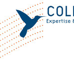 Logo pour le cabinet d'experts comptable Colibri