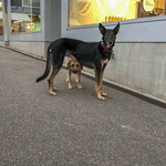 PROTECT ME - Zurich, Albisrieden