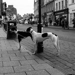 BLACK & WHITE - Ayr, Scotland