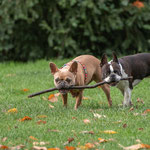 YOU WANNA PLAY WITH US? - Zurich, Rieterpark
