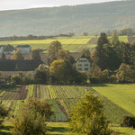 15. Etappe - Biel-Benken, Rebberg Hollen