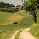 9. Etappe - Arlesheim, Findelegge, Findeleckweg, Blick auf den Schlosshof (Kt. SO)