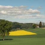 15. Etappe - Oberhof, bei Elgg