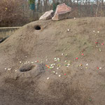 UNTITLED - Dresden Zoo