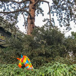 HIDDEN HORSE - Basel