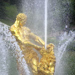 Energie in Gold und Silber - 42 Punkte, 1. Platzz