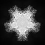 Virus II