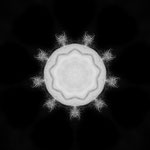 Virus VI