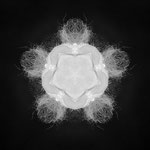 Virus I
