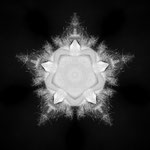 Virus III
