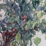 Junge Birnen - 60 x 35 cm