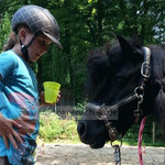 Ponyportal Ponyhof Ponyreiten Köln Bergisch Gladbach - Ponyhof