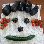 本日の収穫野菜で顔を描いてみました♪