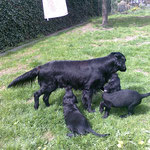Abschied von Mama