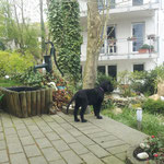 neue Welt