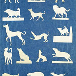 Studie von Hunden