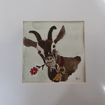 "Sammy" Aquarell mit Glitzer 20x20cm (verkauft)