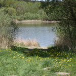 Natursee " Weitendorfer Haussee" mit naturbelassener Badestelle