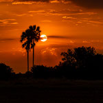 Karl Schruf - Botswana Okavango Delta