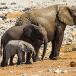 Norbert Holl - Namibia