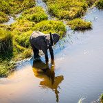 Karl Schruf - Botswana-Okavango-Delta