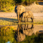 Karl Schruf - Botswana-Chobe River
