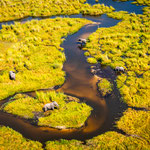 Karl Schruf - Botswana-Okavango-Delta