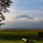 Norbert Holl - Kilimanjaro