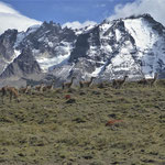 Brigitte  Kaar - Chile - Patagonien