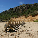 ..Strand ohne namen im Narawntapu National Park