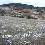 Lestra Bas