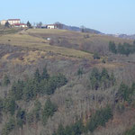 Serre
