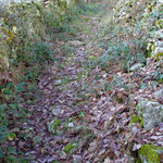 Chazelles - ancien chemin
